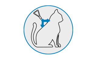 Ein graues Icon mit blauem Rand, das eine behandelte Katze zeigt, deren Schutzmantel gegen Parasiten besteht.